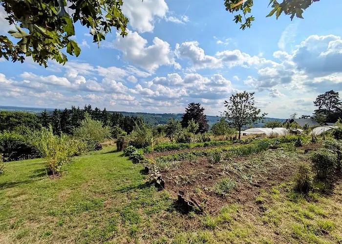 La Pomme De Pin Cornesse *